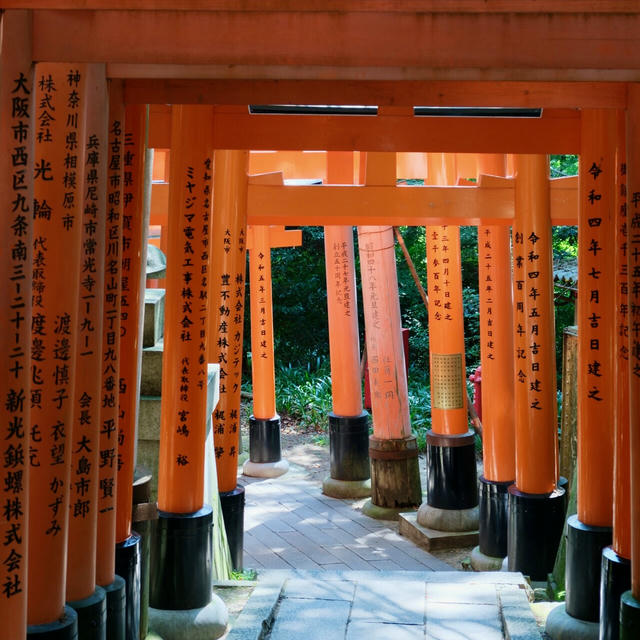 2024/09 Japan photo 10